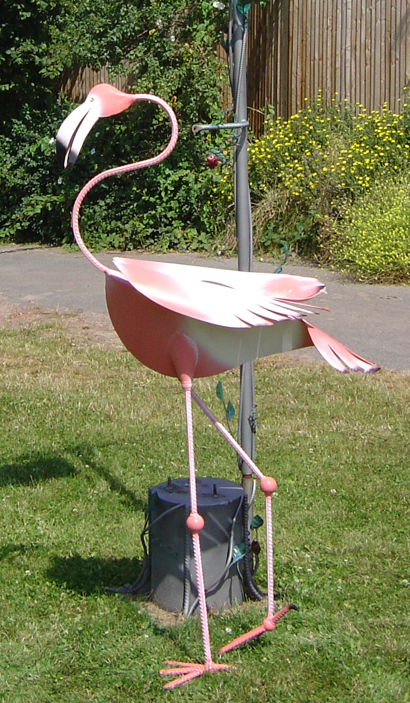 Flamingo.JPG